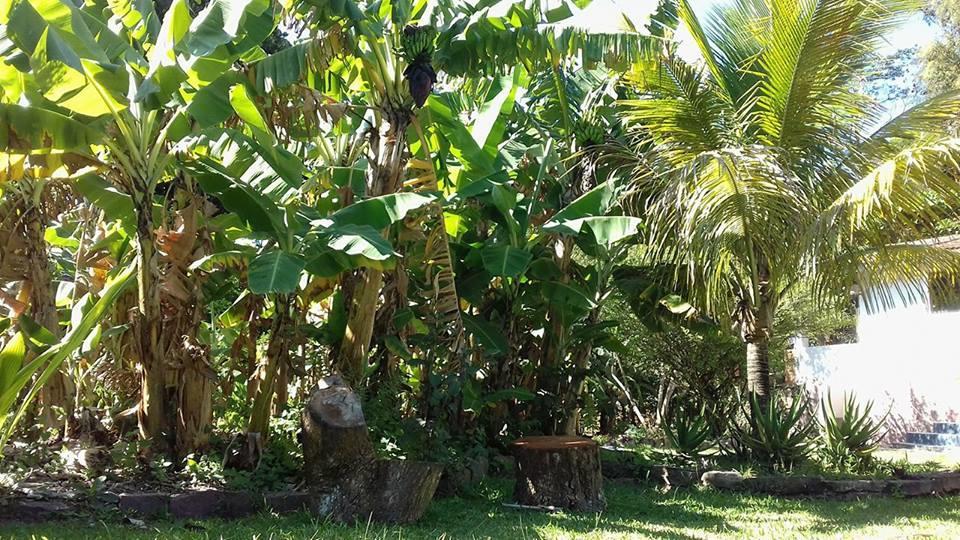 Ferienwohnung Hospedagem Caminho Da Angelica Vale do Capao Exterior foto